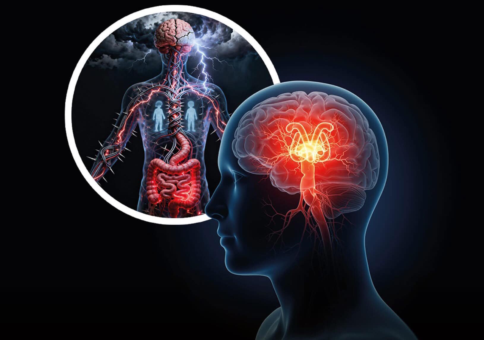 🧠 Çocukluk Stresi ve Bağırsak-Beyin Bağlantısı: Kronik Sindirim Sorunlarının Gizli Sebebi