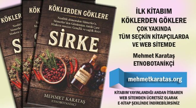 Etnobotanikçi Mehmet Karataş’tan Bir Başvuru Eseri: “Köklerden Göklere”