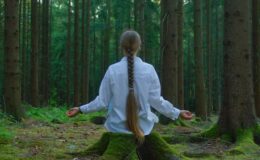 Neden? Ekoterapi Niçin? Orman Banyosu