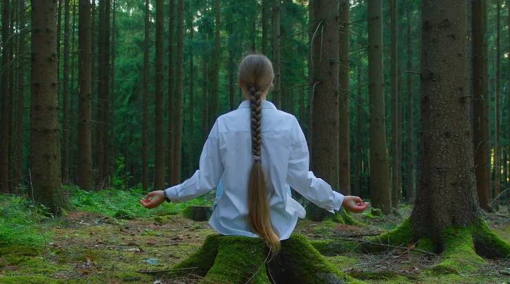 Neden? Ekoterapi Niçin? Orman Banyosu