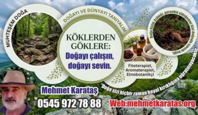 Şifa Dogadadır Doga İyileştirir