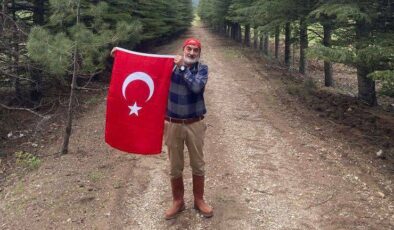 “Ağaçlar ibadethanelerdir” (Hermann Hesse)