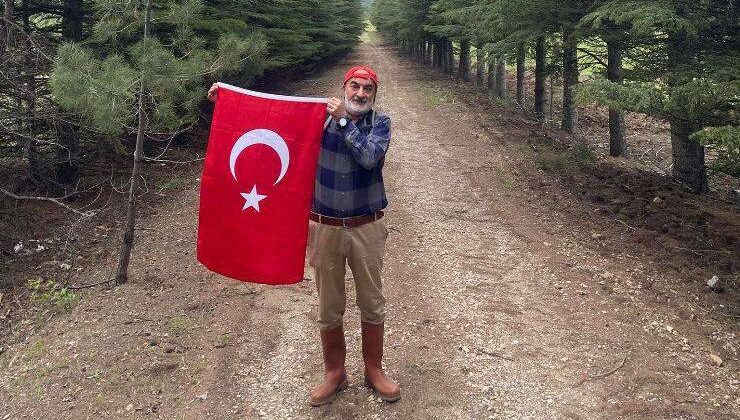 “Ağaçlar ibadethanelerdir” (Hermann Hesse)